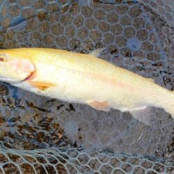 秋を感じるようになってきました ～平谷湖フ…
